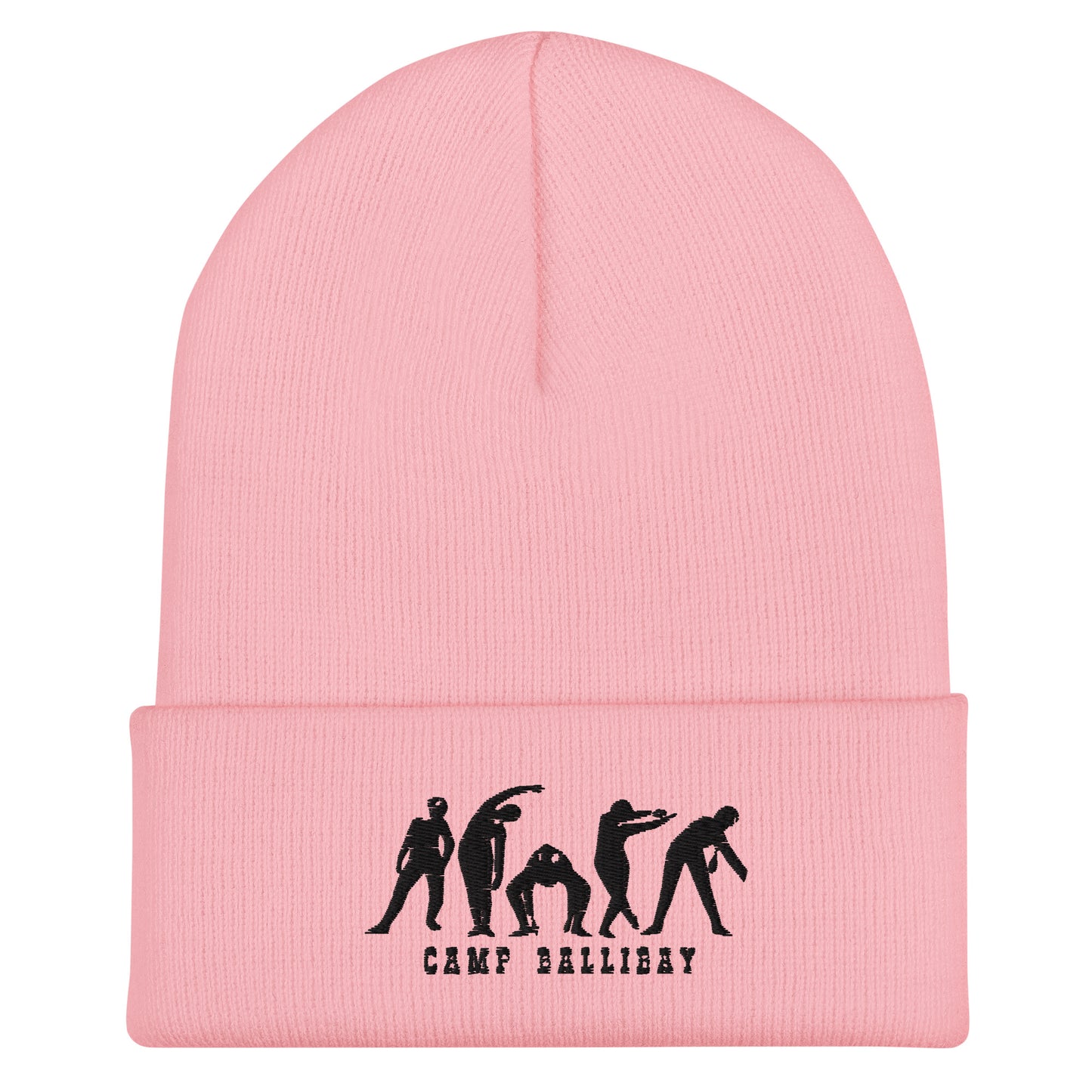 Dottie's Dancers Beanie