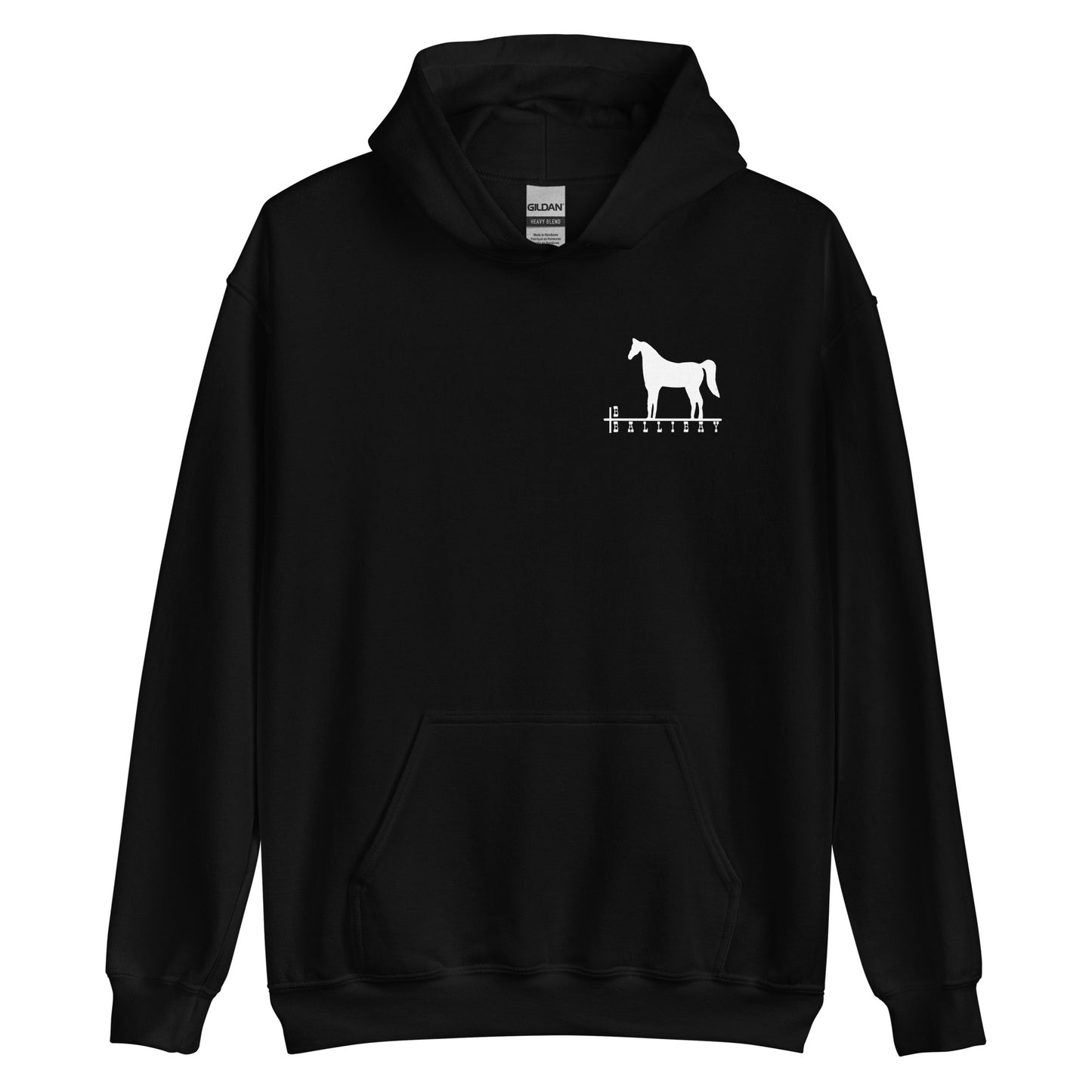 Vintage Ballibay 1977 Design Hoodie