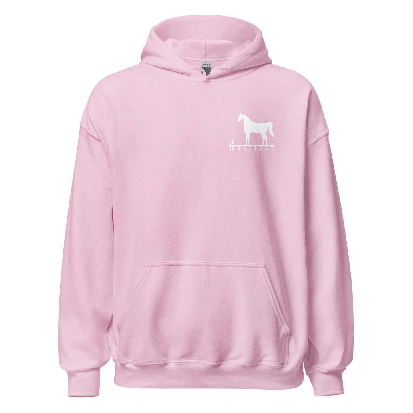 Vintage Ballibay 1977 Design Hoodie