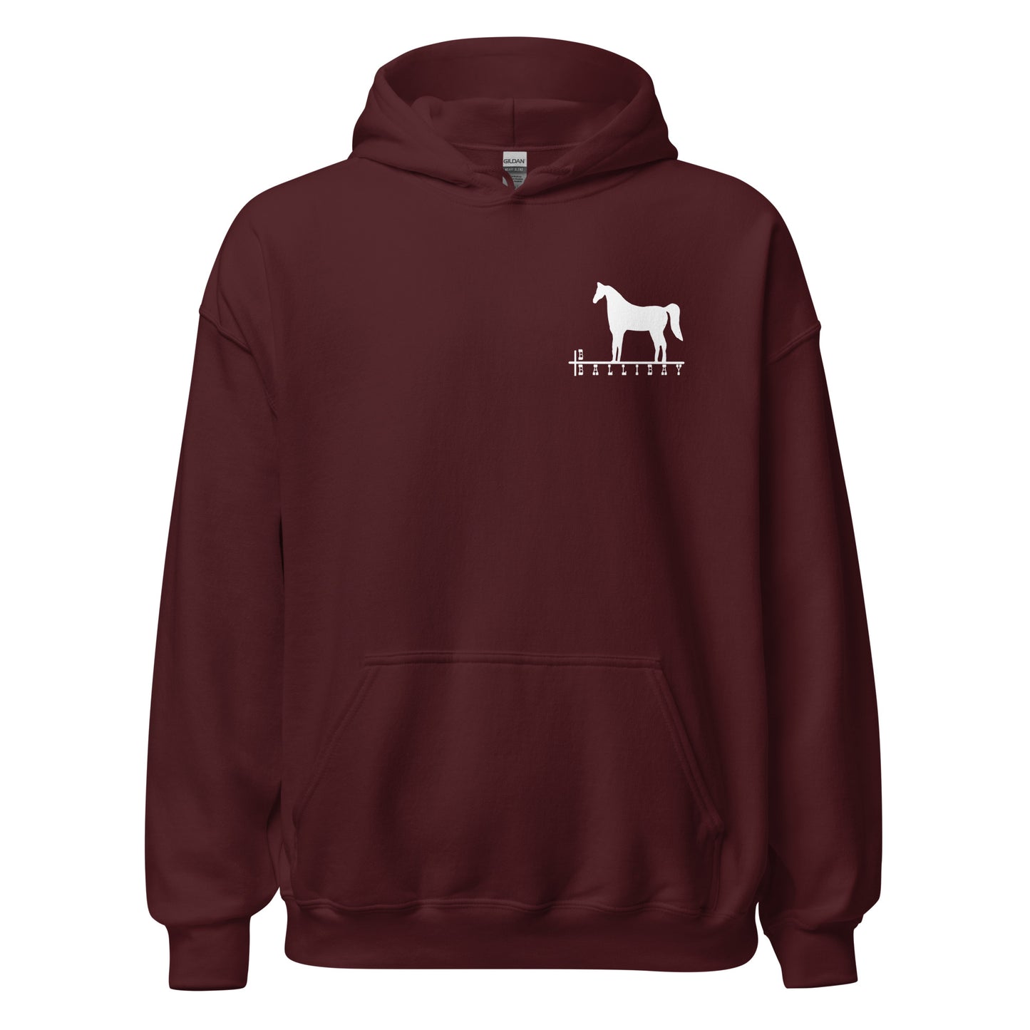 Vintage Ballibay 1977 Design Hoodie